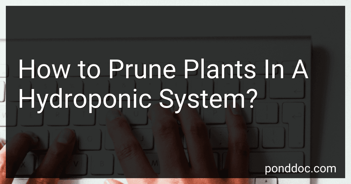How to Prune Plants In A Hydroponic System? preview