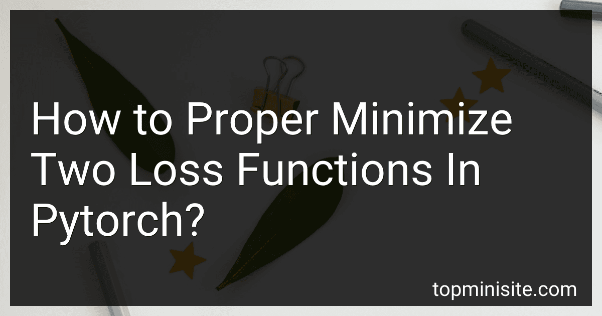 How to Proper Minimize Two Loss Functions In Pytorch? image