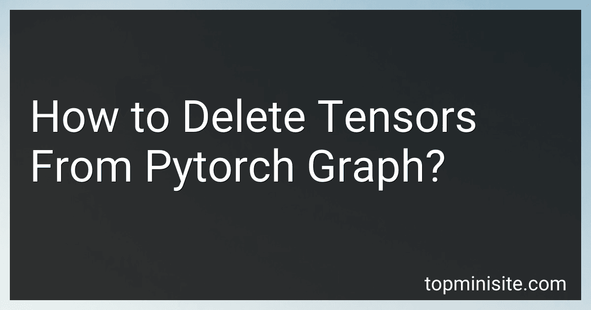 How to Delete Tensors From Pytorch Graph? image