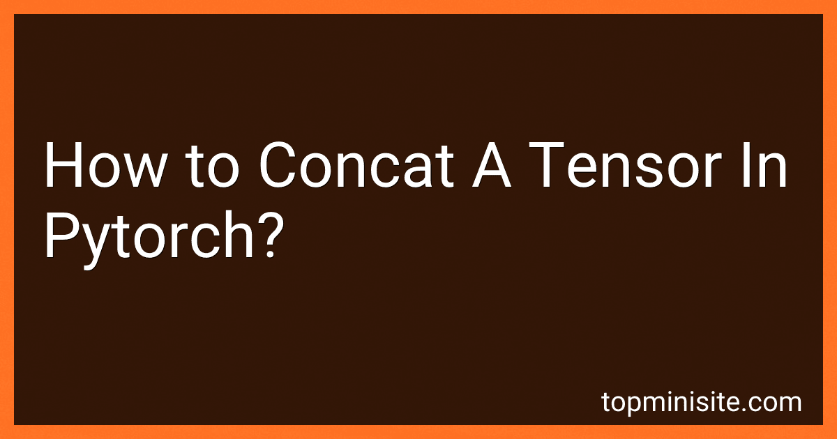 How to Concat A Tensor In Pytorch? image