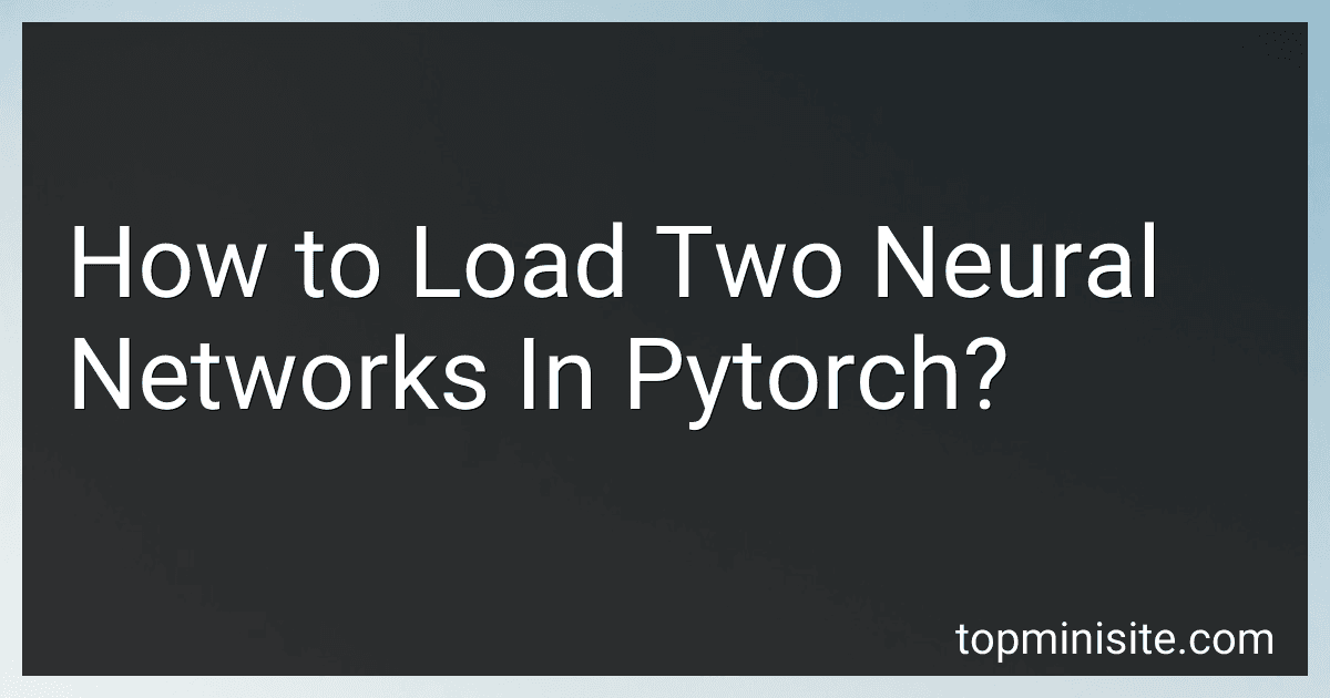 How to Load Two Neural Networks In Pytorch? image