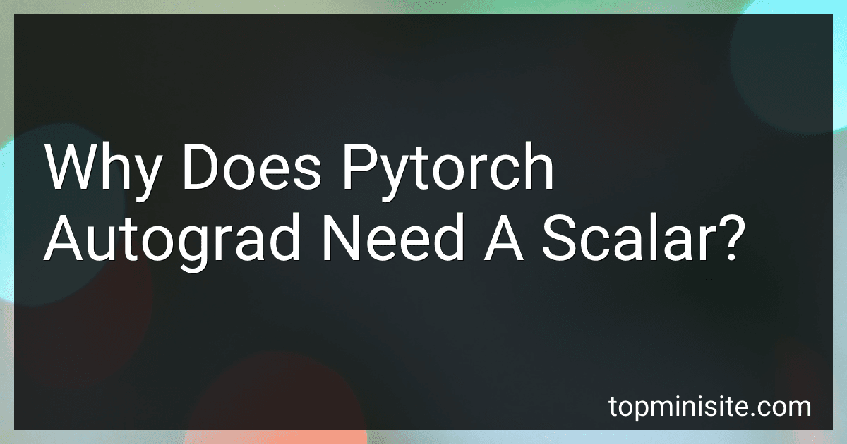 Why Does Pytorch Autograd Need A Scalar? image