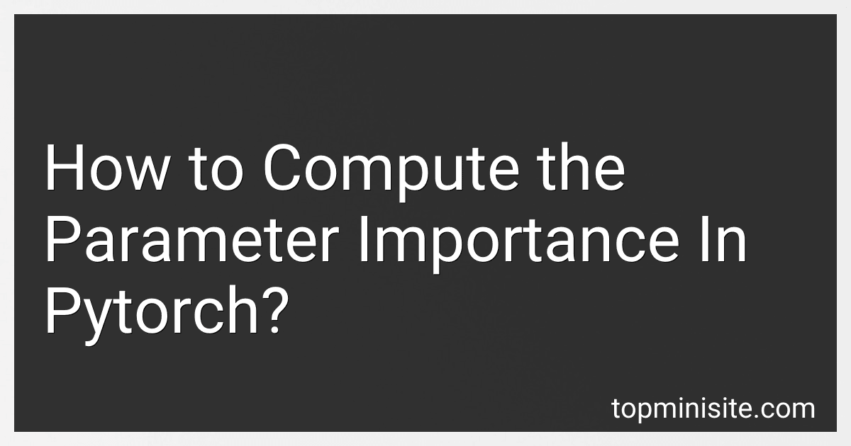 How to Compute the Parameter Importance In Pytorch? image