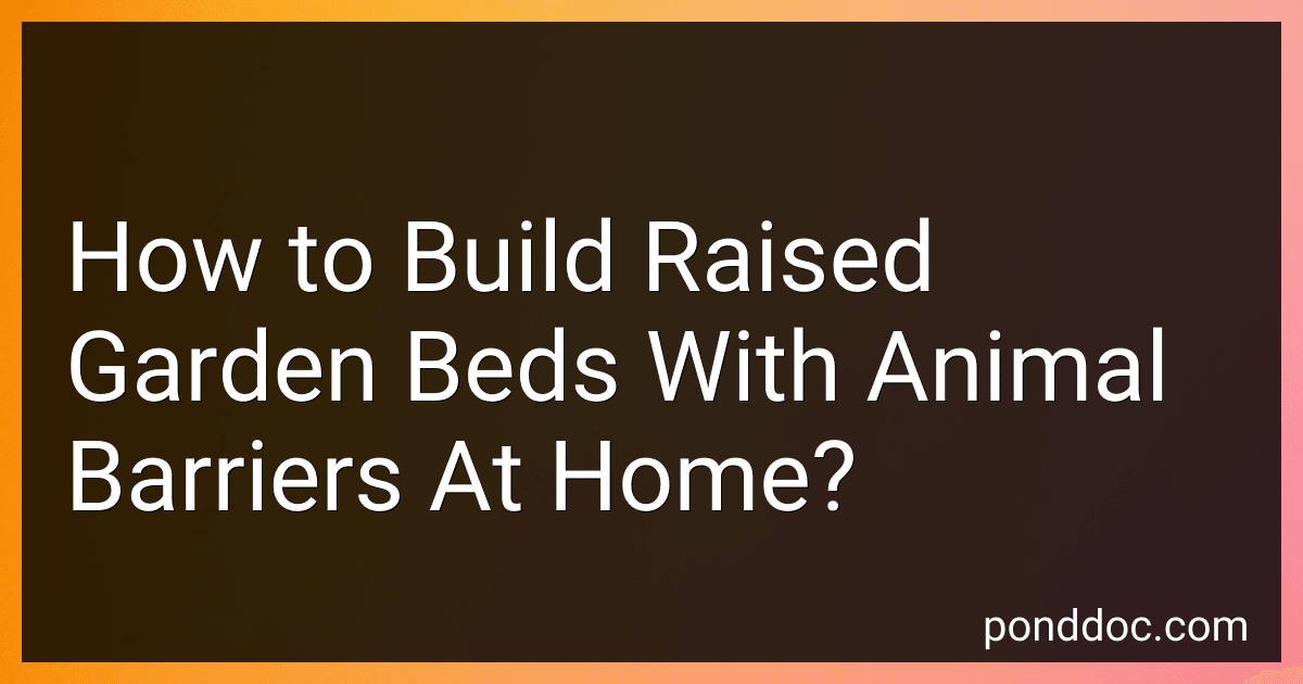 How to Build Raised Garden Beds With Animal Barriers At Home? image