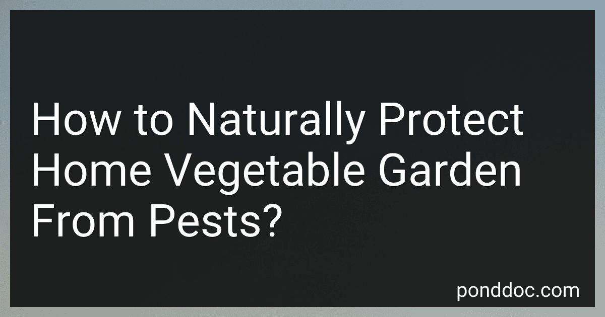 How to Naturally Protect Home Vegetable Garden From Pests? image