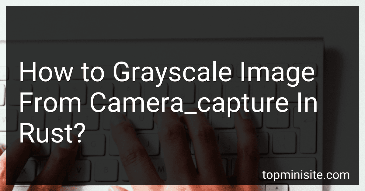 How to Grayscale Image From Camera_capture In Rust? image