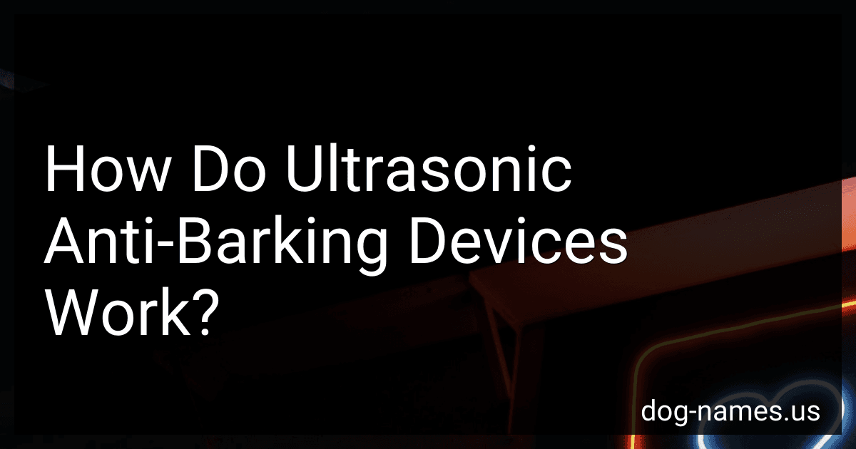 How Do Ultrasonic Anti-Barking Devices Work? preview
