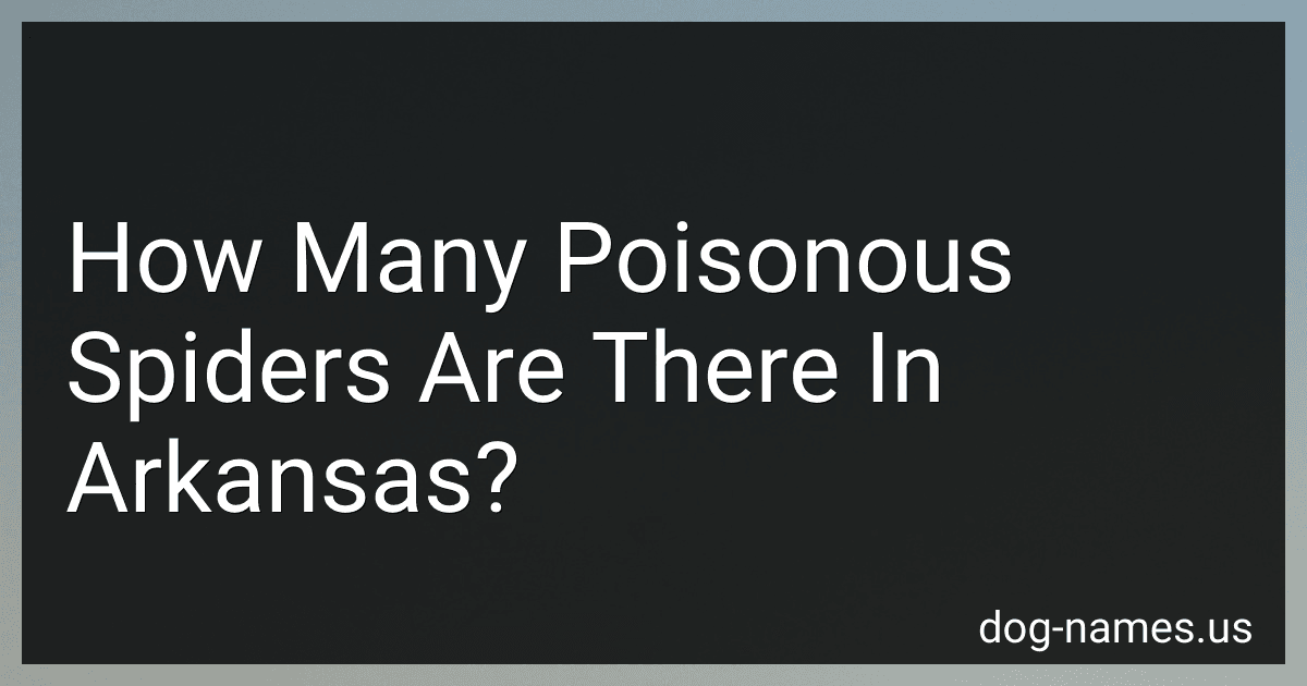 How Many Poisonous Spiders Are There In Arkansas? preview
