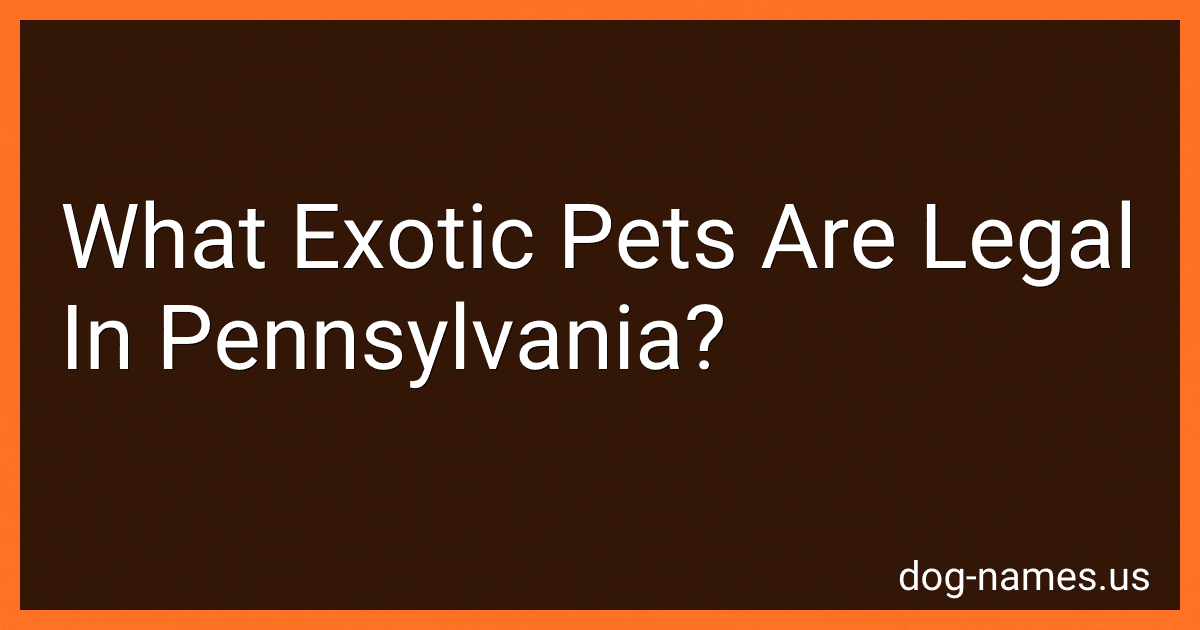 What Exotic Pets Are Legal In Pennsylvania? preview