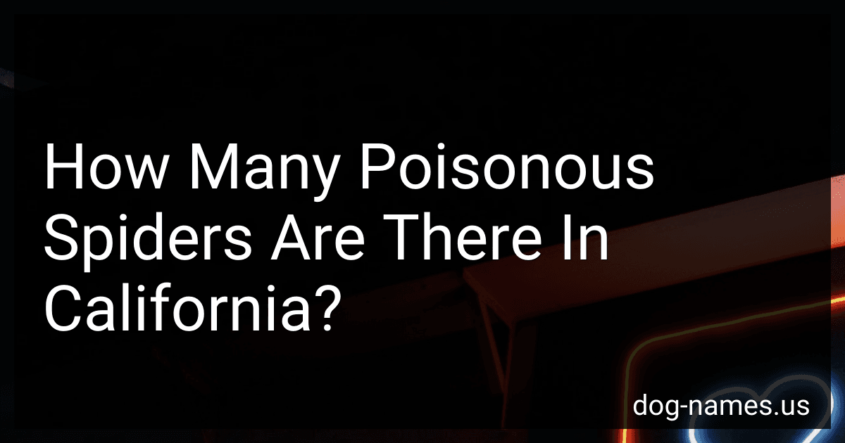 How Many Poisonous Spiders Are There In California? preview