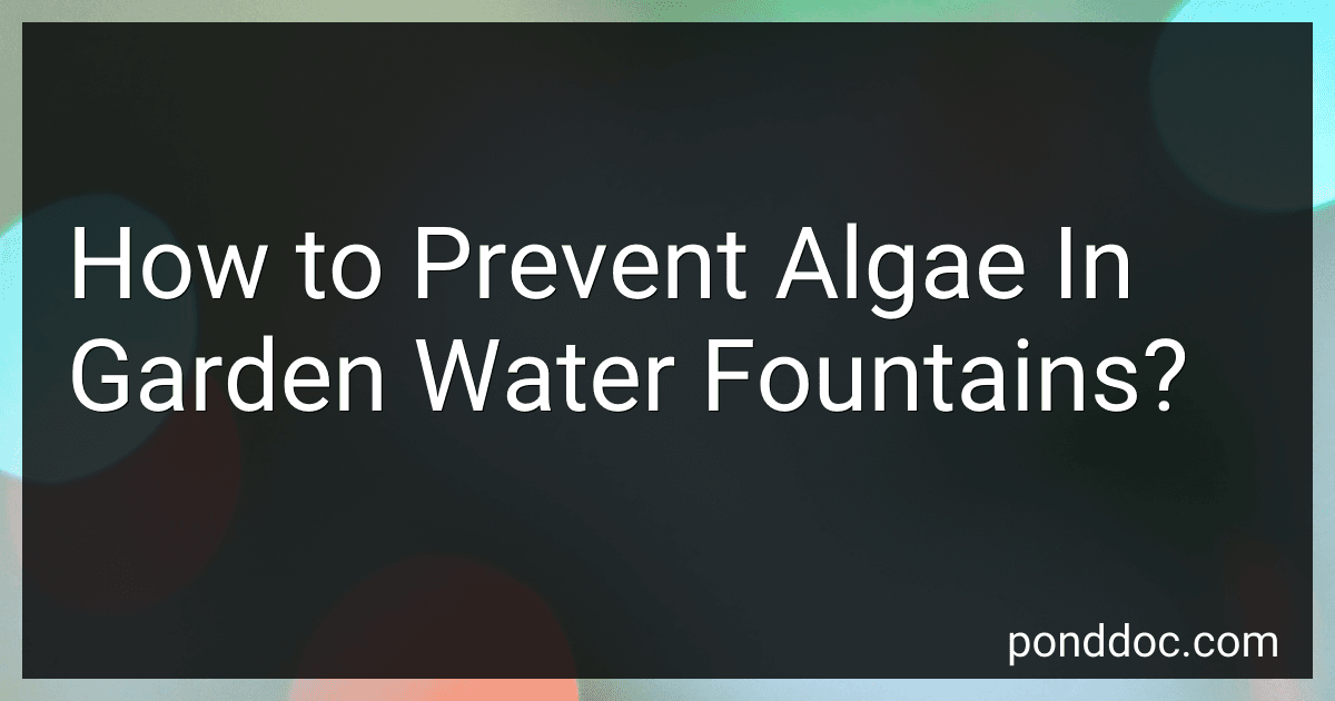 How to Prevent Algae In Garden Water Fountains? image