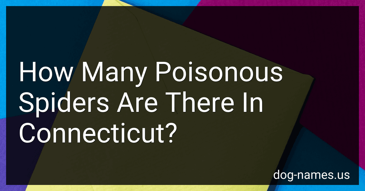 How Many Poisonous Spiders Are There In Connecticut? preview