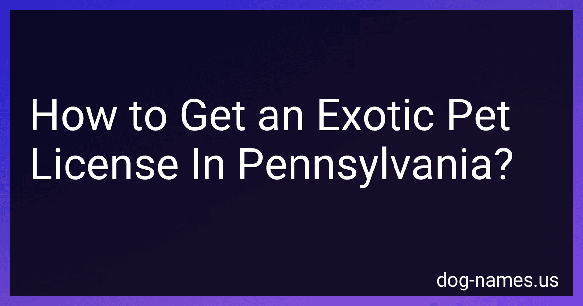 How to Get an Exotic Pet License In Pennsylvania? preview