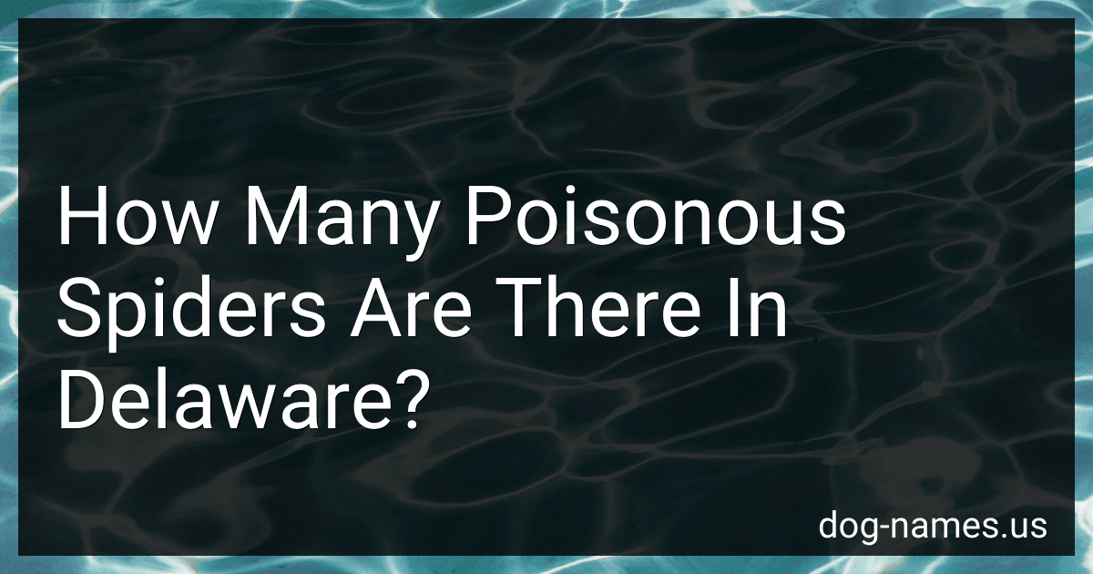 How Many Poisonous Spiders Are There In Delaware? preview