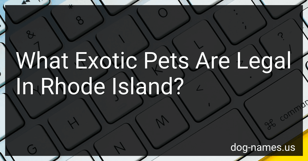 What Exotic Pets Are Legal In Rhode Island? preview