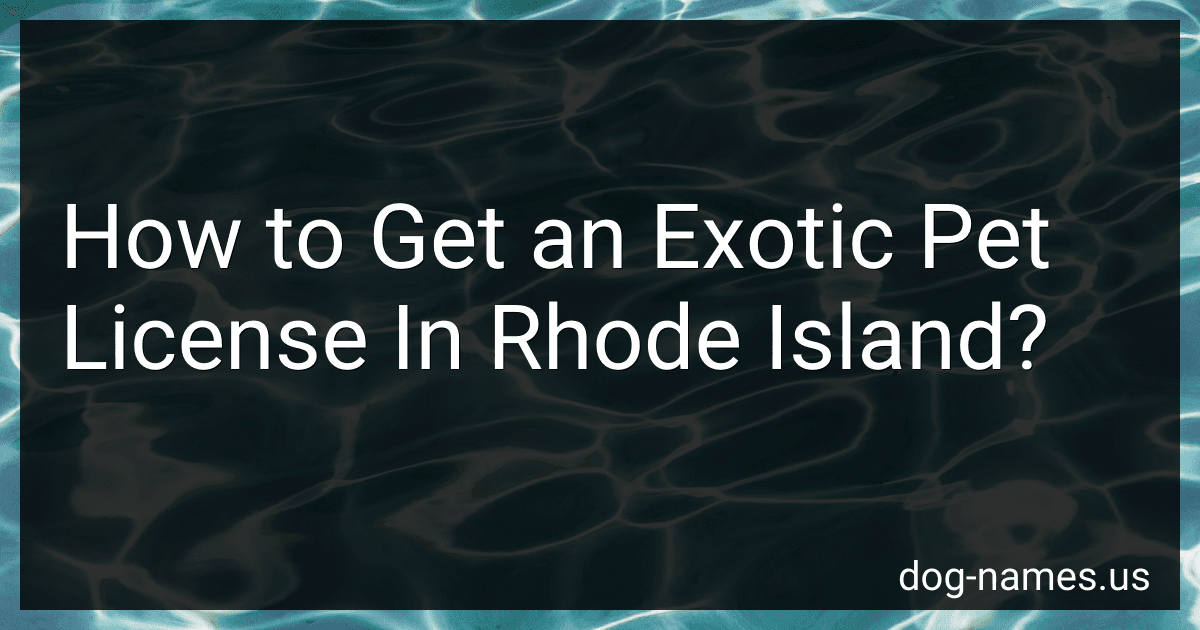 How to Get an Exotic Pet License In Rhode Island? preview