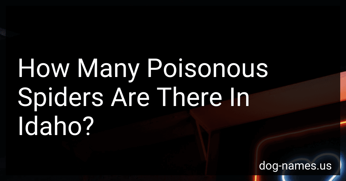 How Many Poisonous Spiders Are There In Idaho? preview