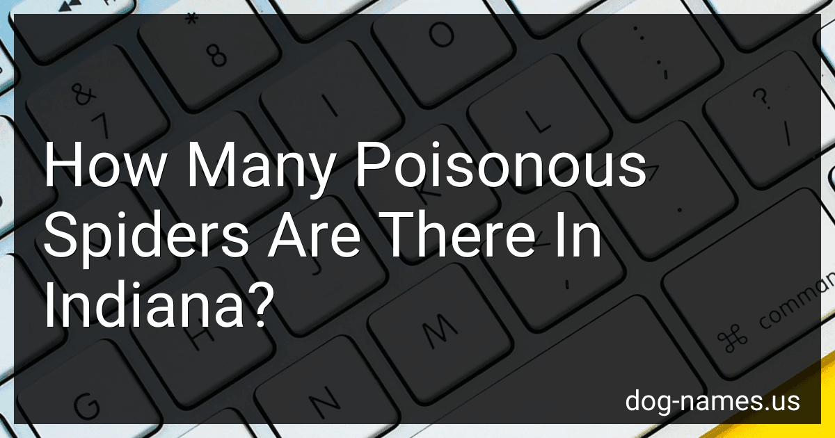 How Many Poisonous Spiders Are There In Indiana? preview