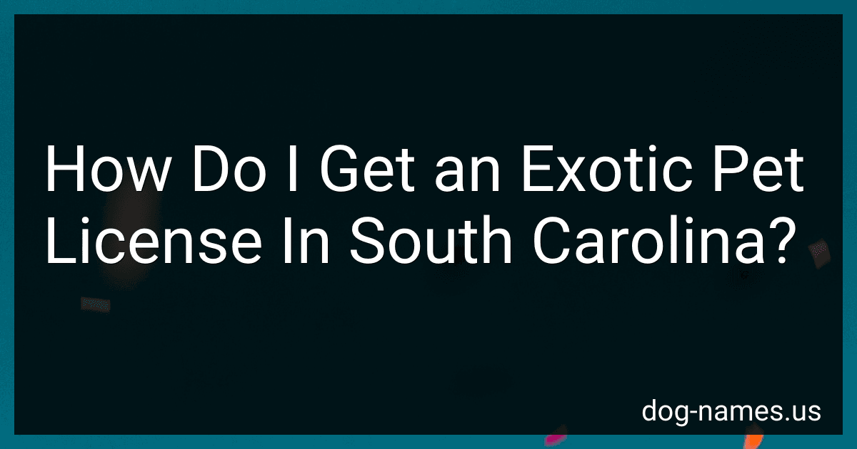 How Do I Get an Exotic Pet License In South Carolina? preview
