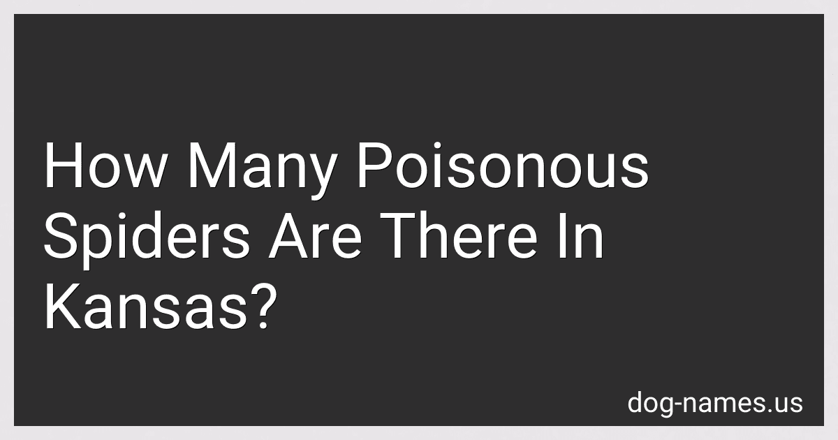 How Many Poisonous Spiders Are There In Kansas? preview