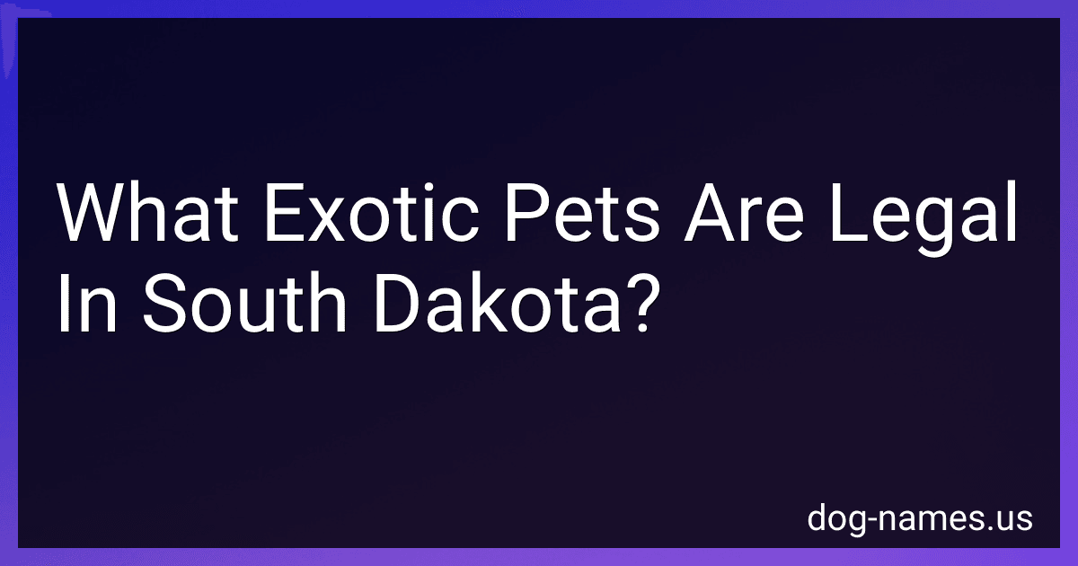 What Exotic Pets Are Legal In South Dakota? preview