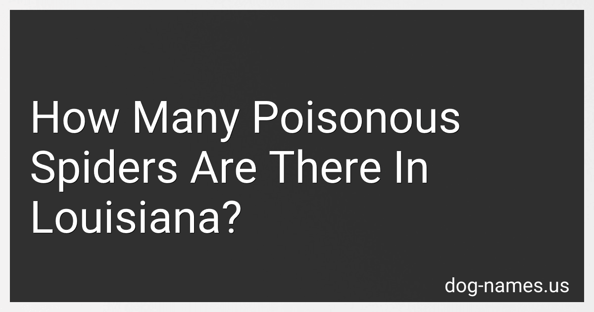 How Many Poisonous Spiders Are There In Louisiana? preview