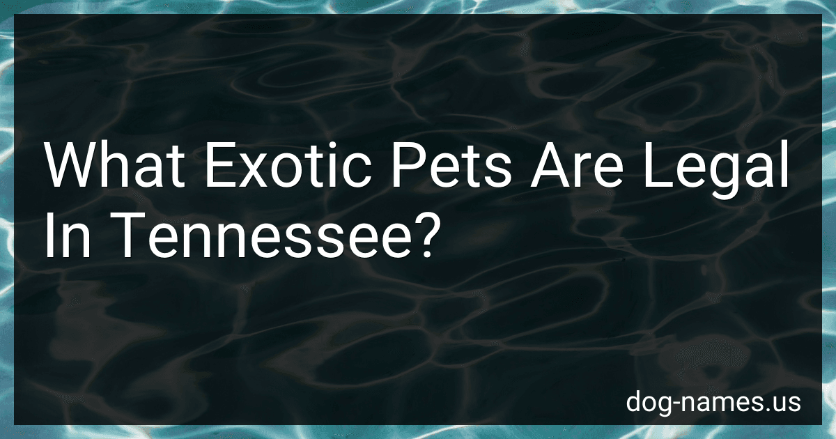 What Exotic Pets Are Legal In Tennessee? preview