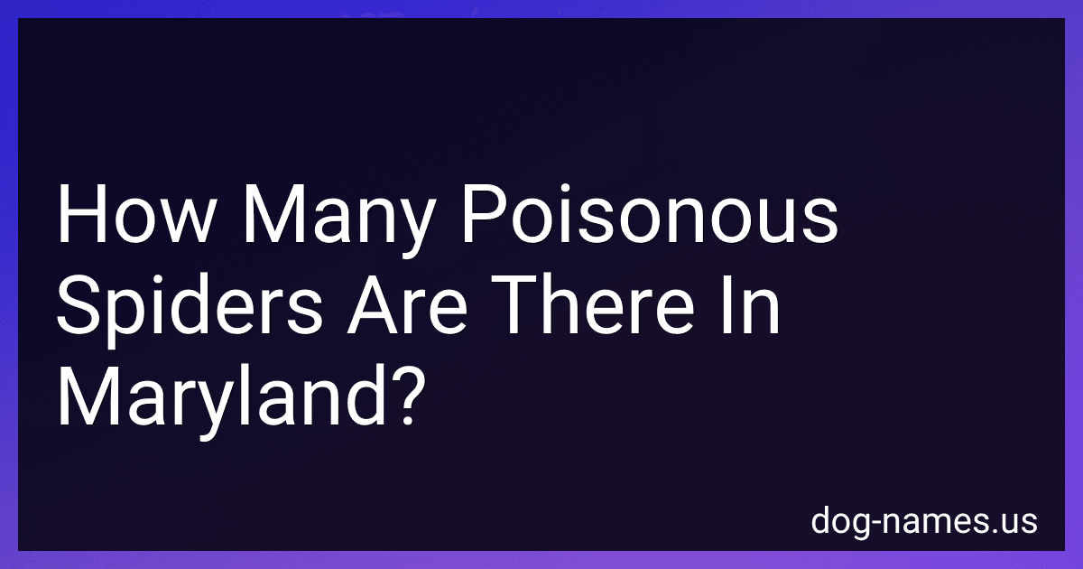 How Many Poisonous Spiders Are There In Maryland? preview