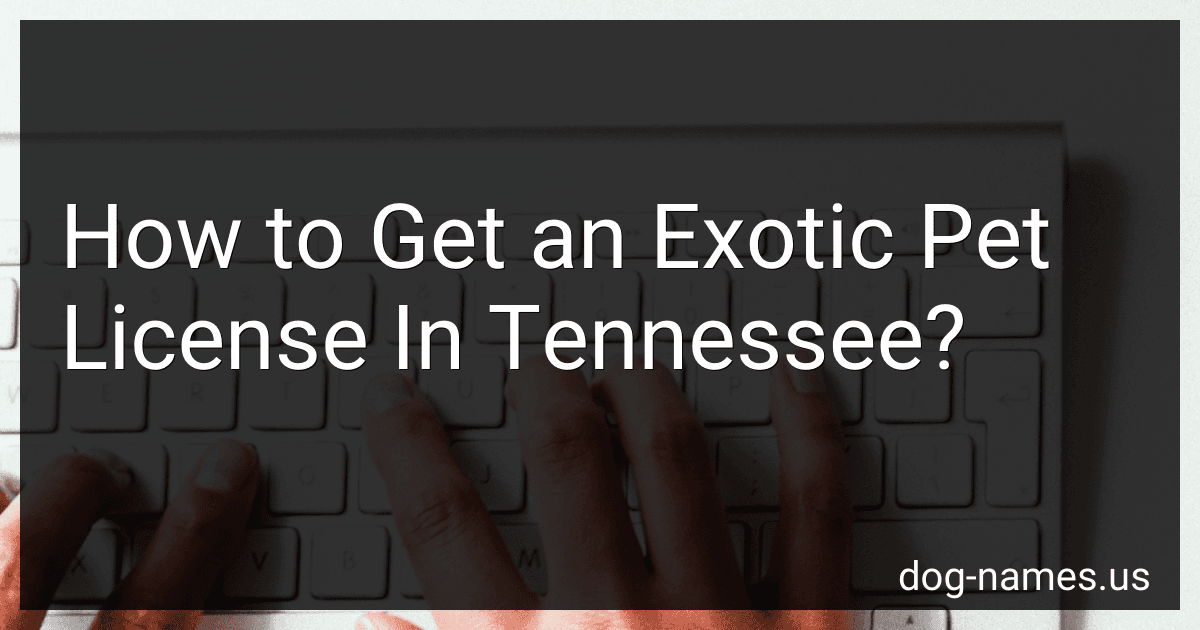 How to Get an Exotic Pet License In Tennessee? preview