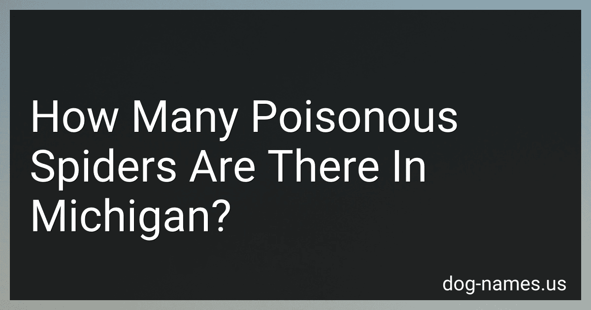 How Many Poisonous Spiders Are There In Michigan? preview