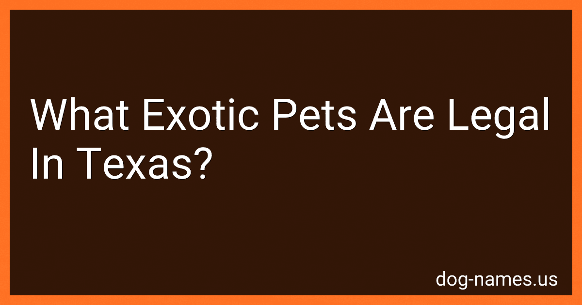 What Exotic Pets Are Legal In Texas? preview