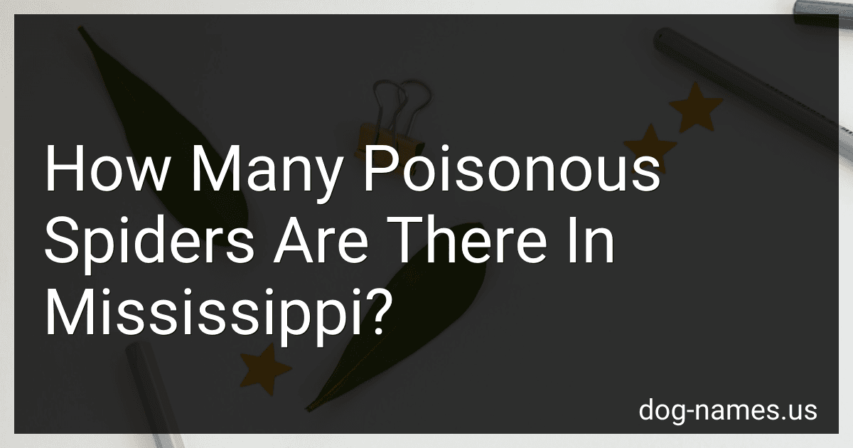 How Many Poisonous Spiders Are There In Mississippi? preview
