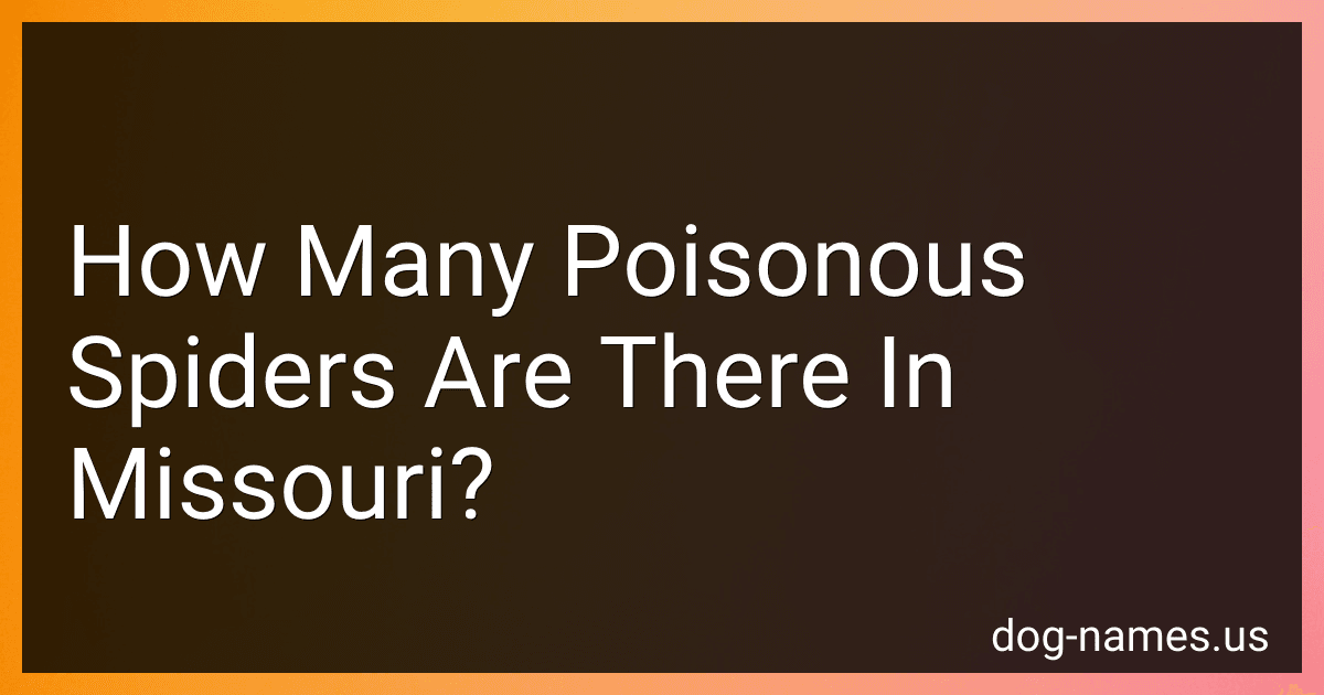 How Many Poisonous Spiders Are There In Missouri? preview