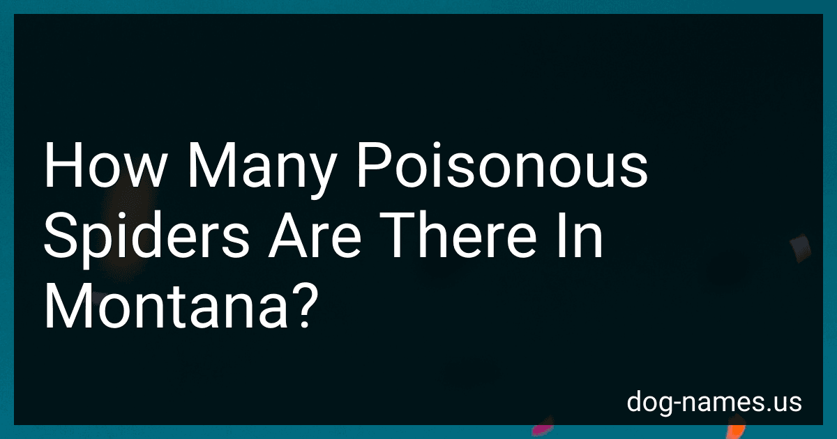 How Many Poisonous Spiders Are There In Montana? preview