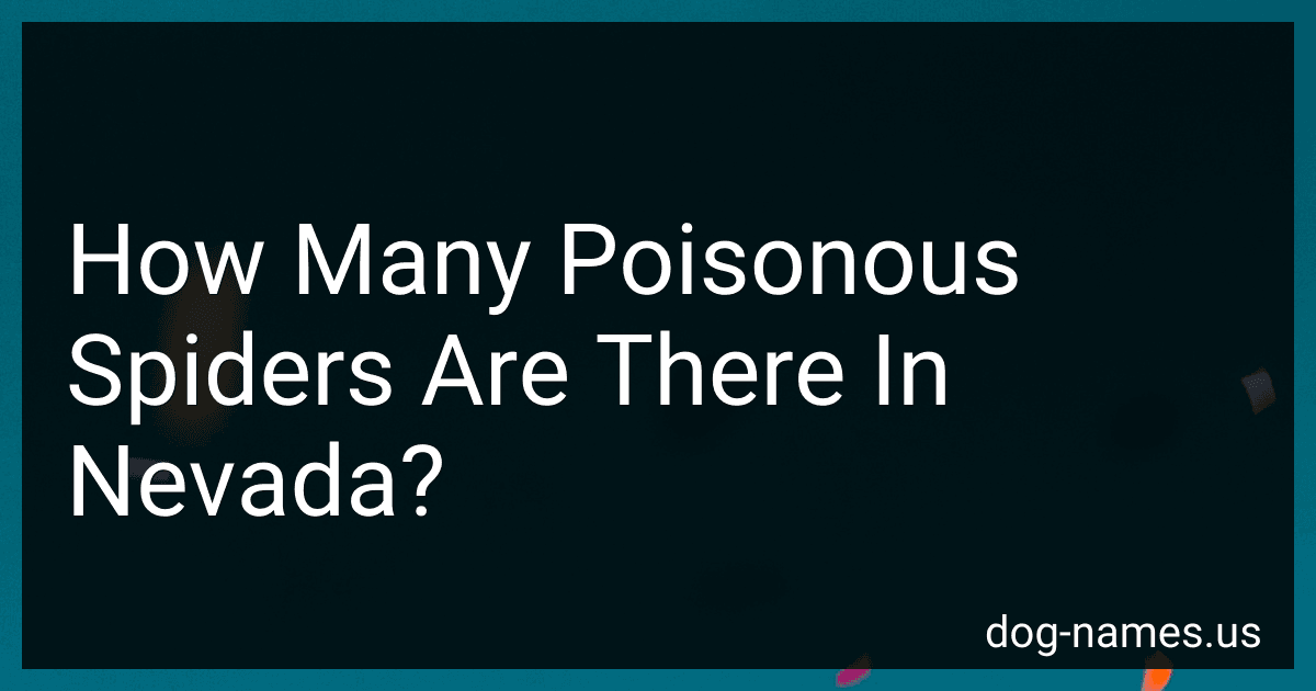 How Many Poisonous Spiders Are There In Nevada? preview