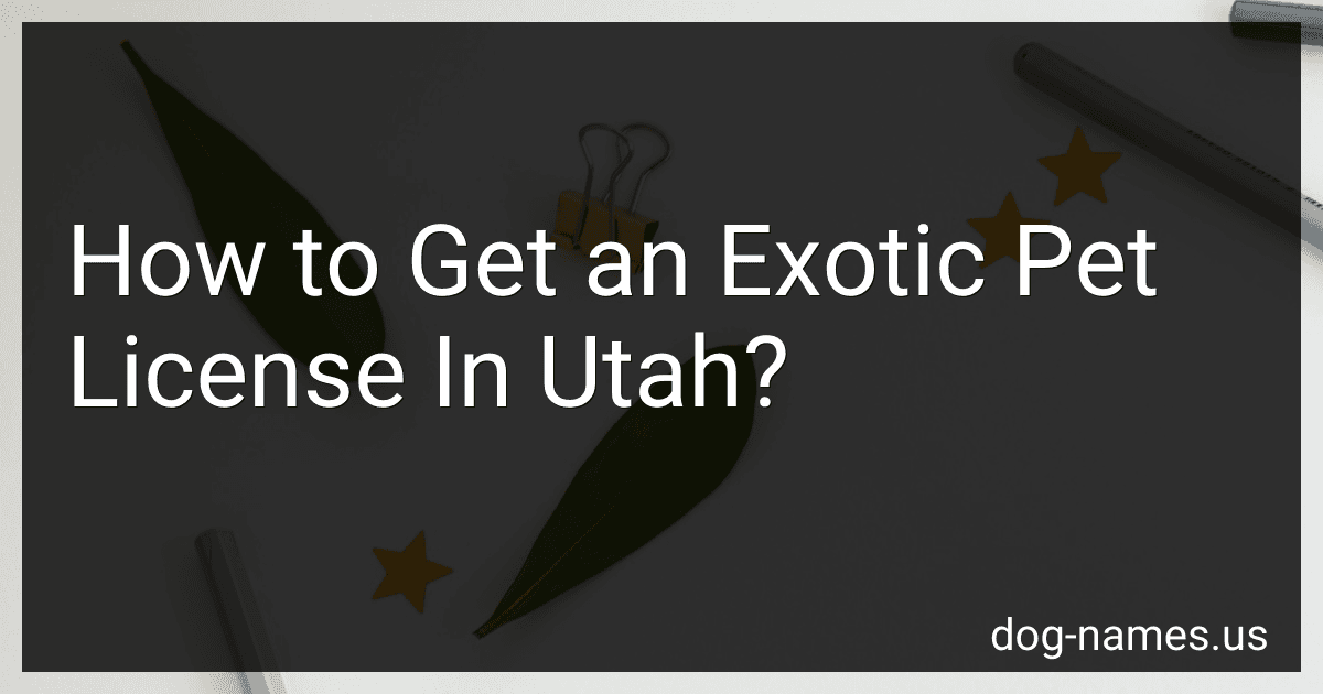 How to Get an Exotic Pet License In Utah? preview