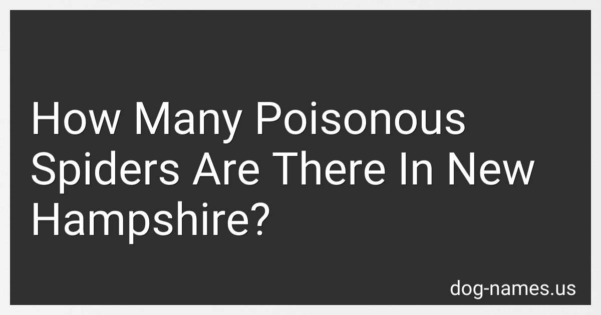 How Many Poisonous Spiders Are There In New Hampshire? preview