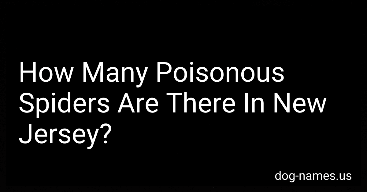 How Many Poisonous Spiders Are There In New Jersey? preview
