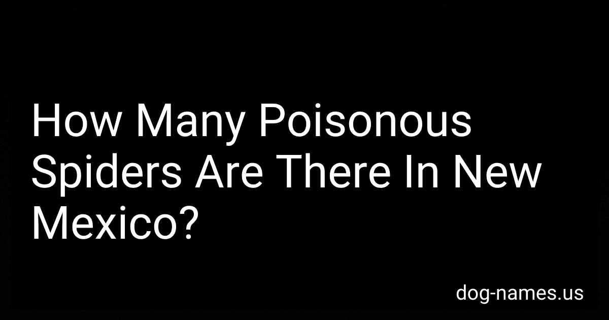 How Many Poisonous Spiders Are There In New Mexico? preview
