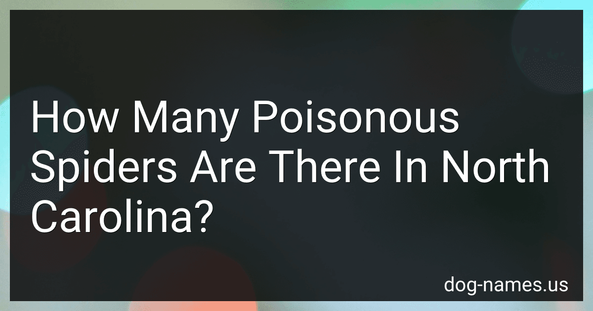 How Many Poisonous Spiders Are There In North Carolina? preview