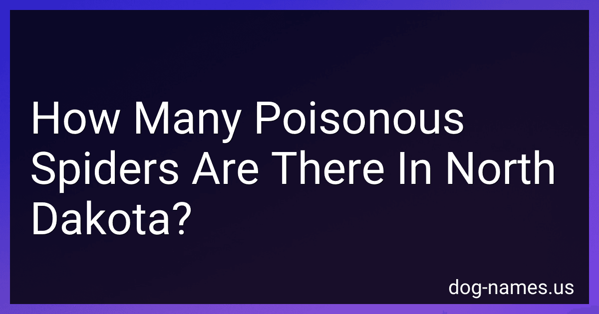 How Many Poisonous Spiders Are There In North Dakota? preview