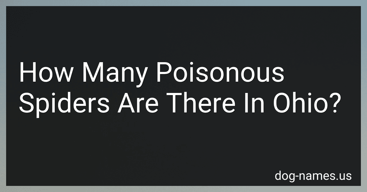 How Many Poisonous Spiders Are There In Ohio? preview