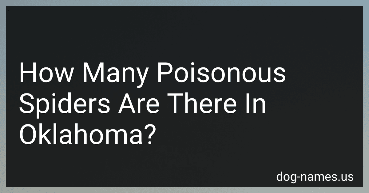 How Many Poisonous Spiders Are There In Oklahoma? preview