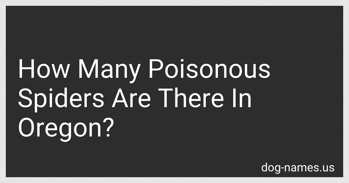 How Many Poisonous Spiders Are There In Oregon? preview