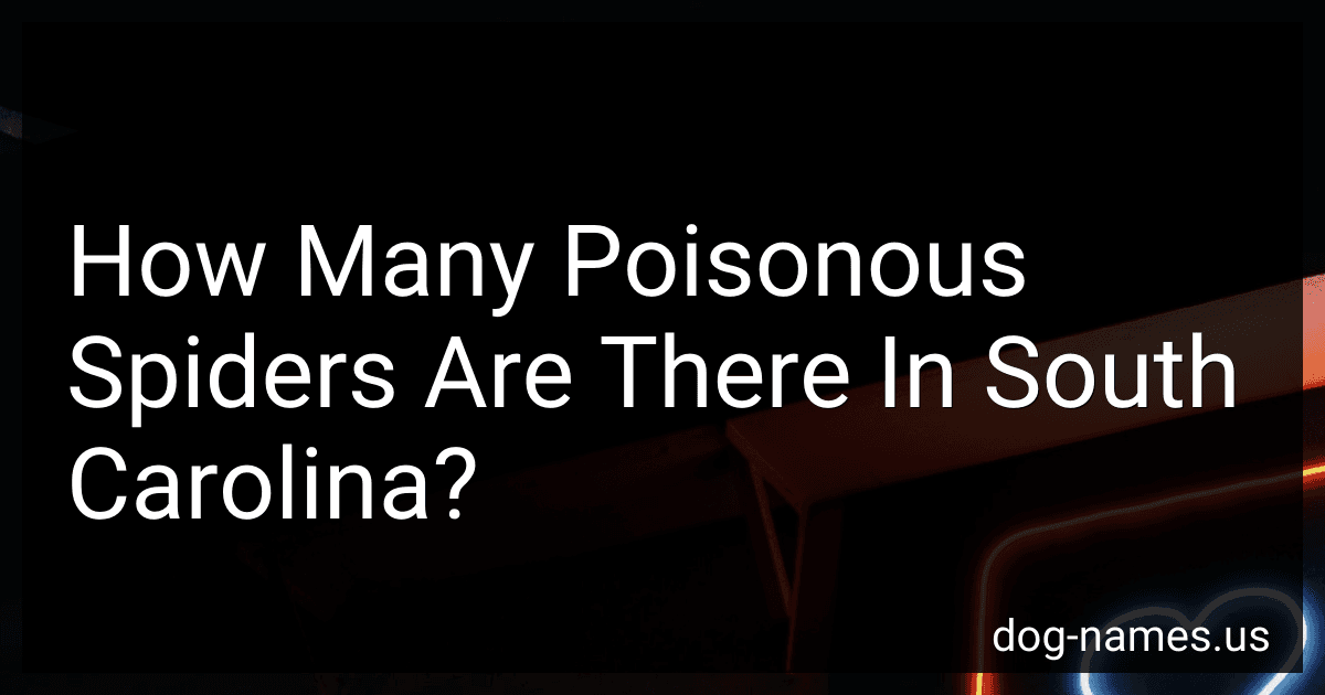 How Many Poisonous Spiders Are There In South Carolina? preview