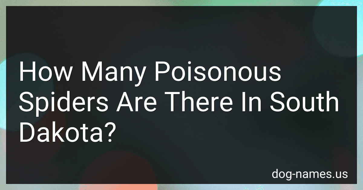 How Many Poisonous Spiders Are There In South Dakota? preview