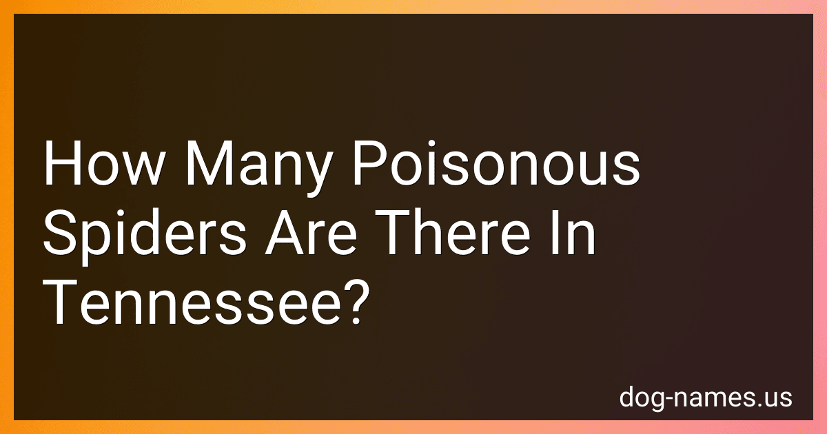 How Many Poisonous Spiders Are There In Tennessee? preview