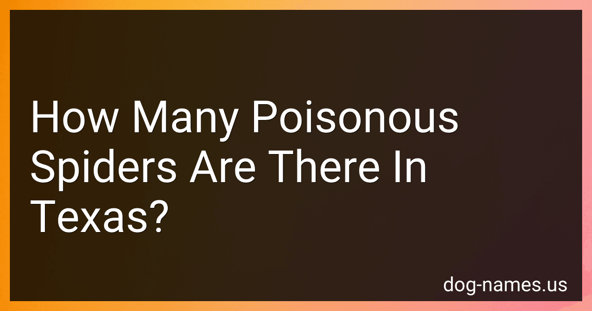 How Many Poisonous Spiders Are There In Texas? image