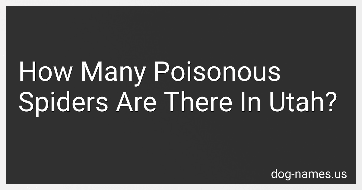 How Many Poisonous Spiders Are There In Utah? image