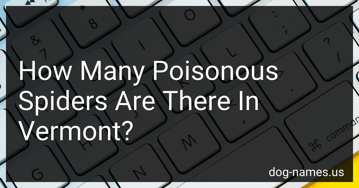 How Many Poisonous Spiders Are There In Vermont? preview